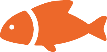 Product Feature
